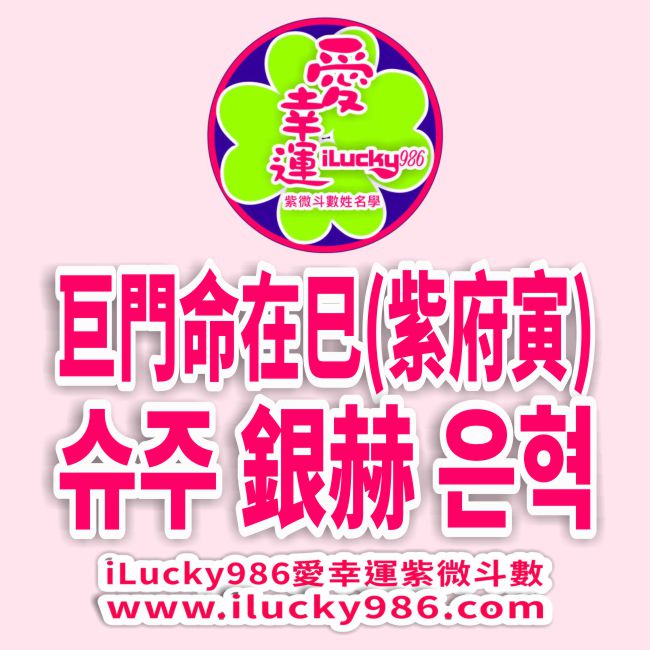 銀赫 巨門命在巳 紫微天府在寅
