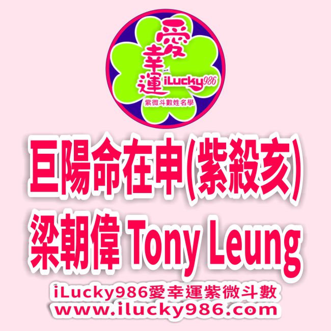 梁朝偉 太陽巨門命在申 紫微七殺亥