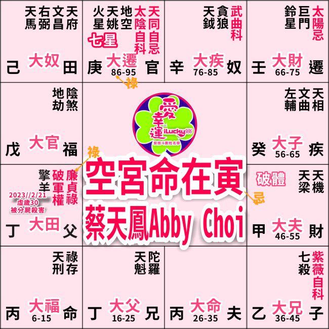 蔡天鳳命盤