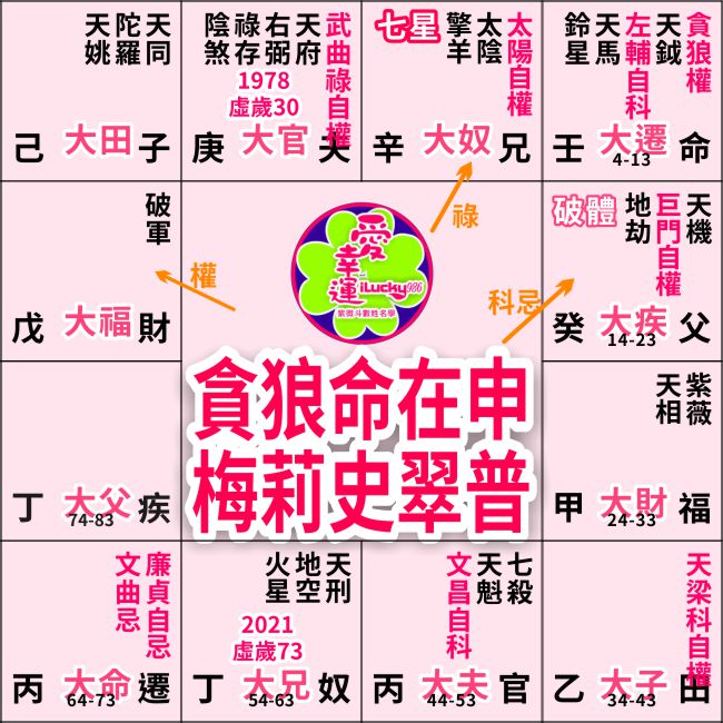 梅莉史翠普命盤