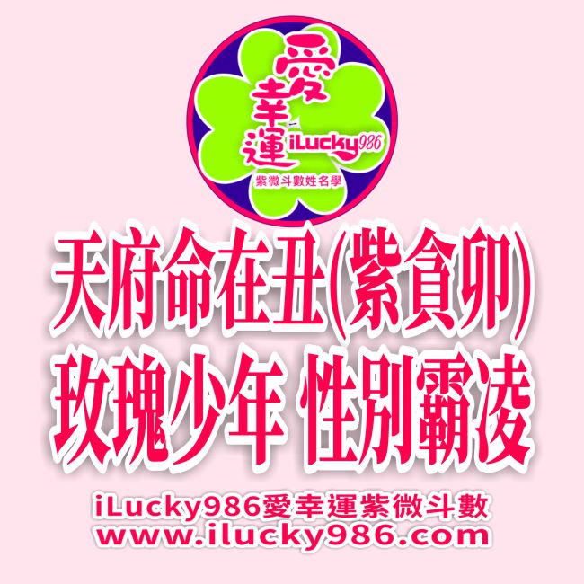 玫瑰少年 葉永鋕 天府命在丑 紫微貪狼在卯